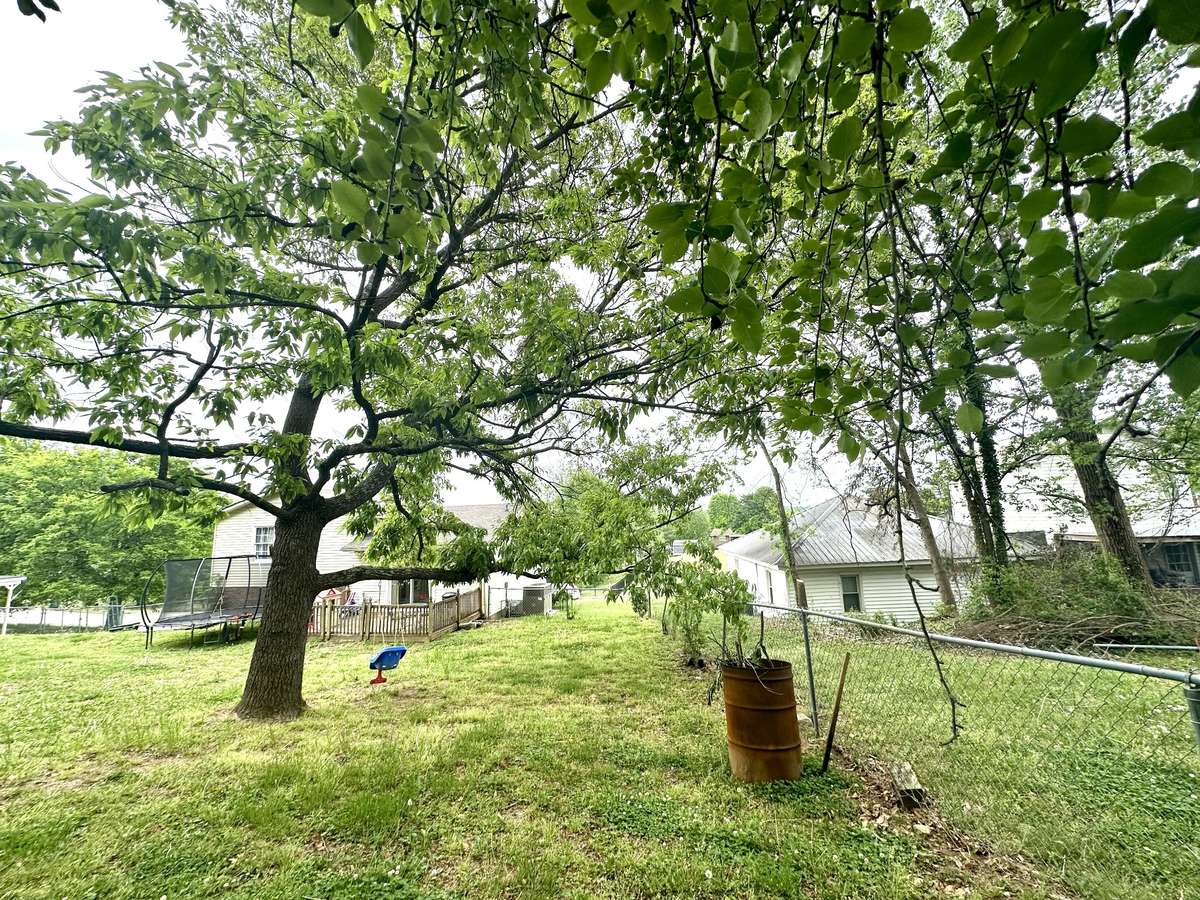 Nice tree for climbing in your fenced back lawn.