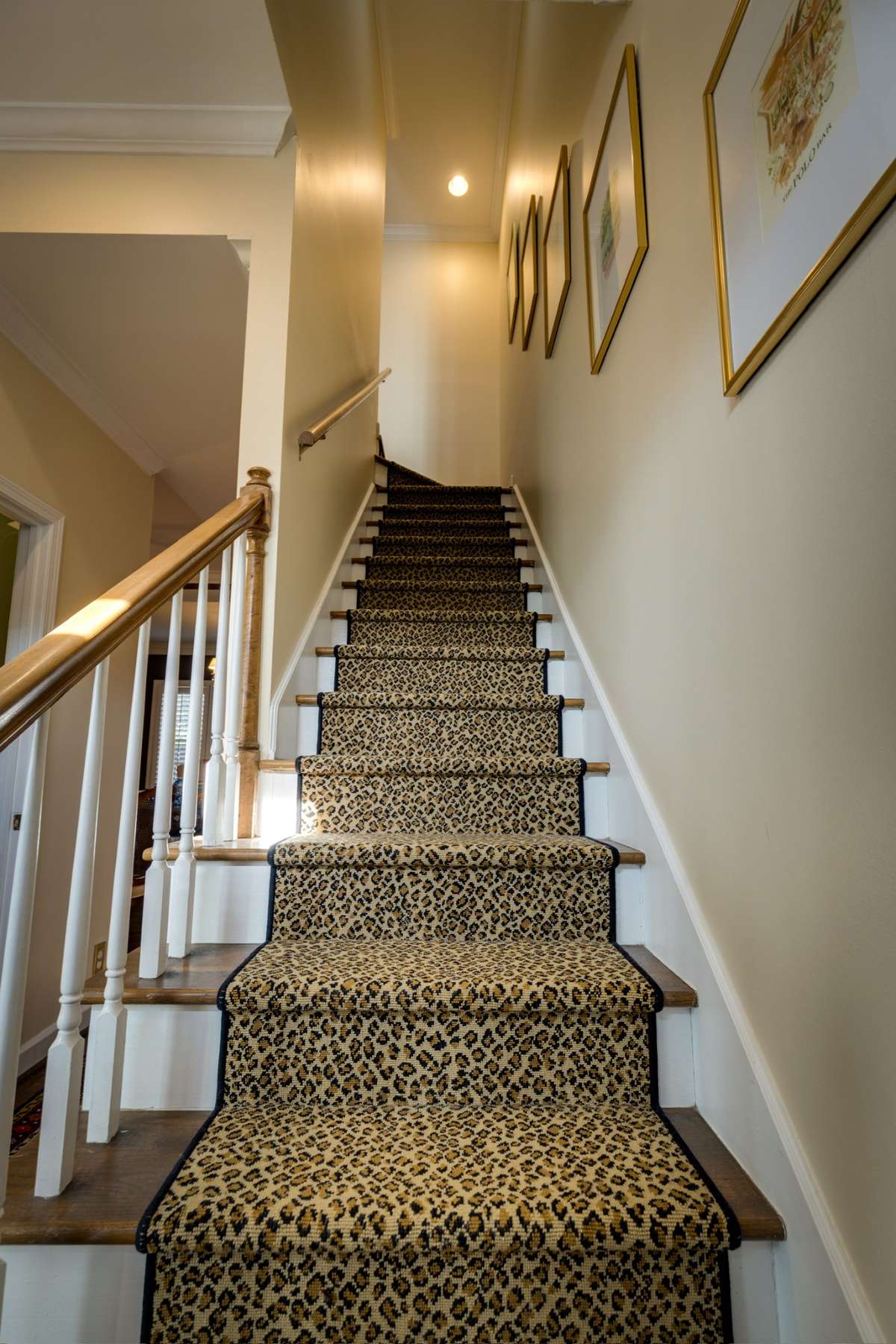 Leopard stair runner + gallery wall lead you upstairs.