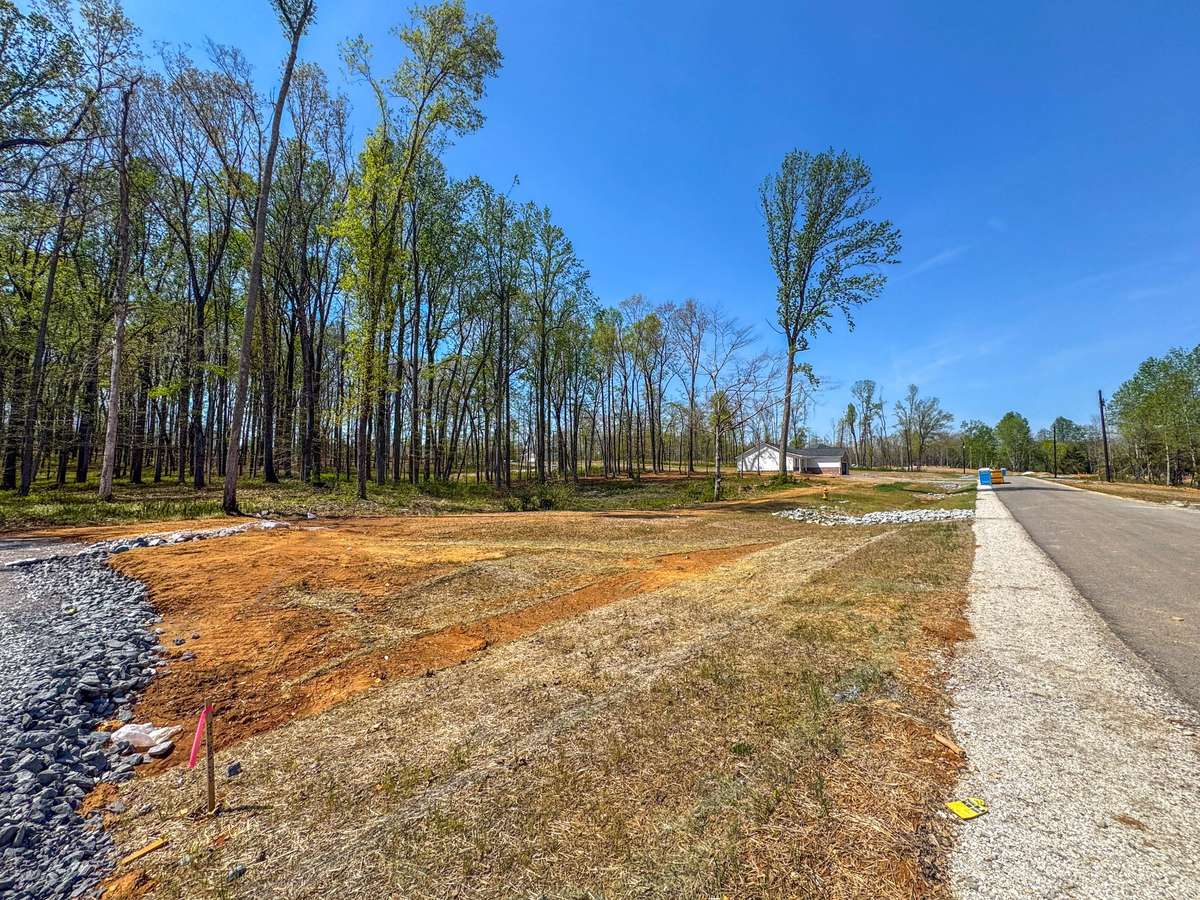 INCREDIBLE Property!