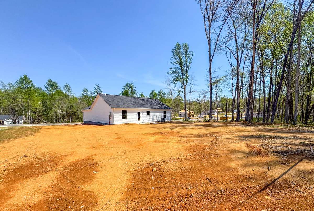 SO much cleared space for an amazing Backyard!