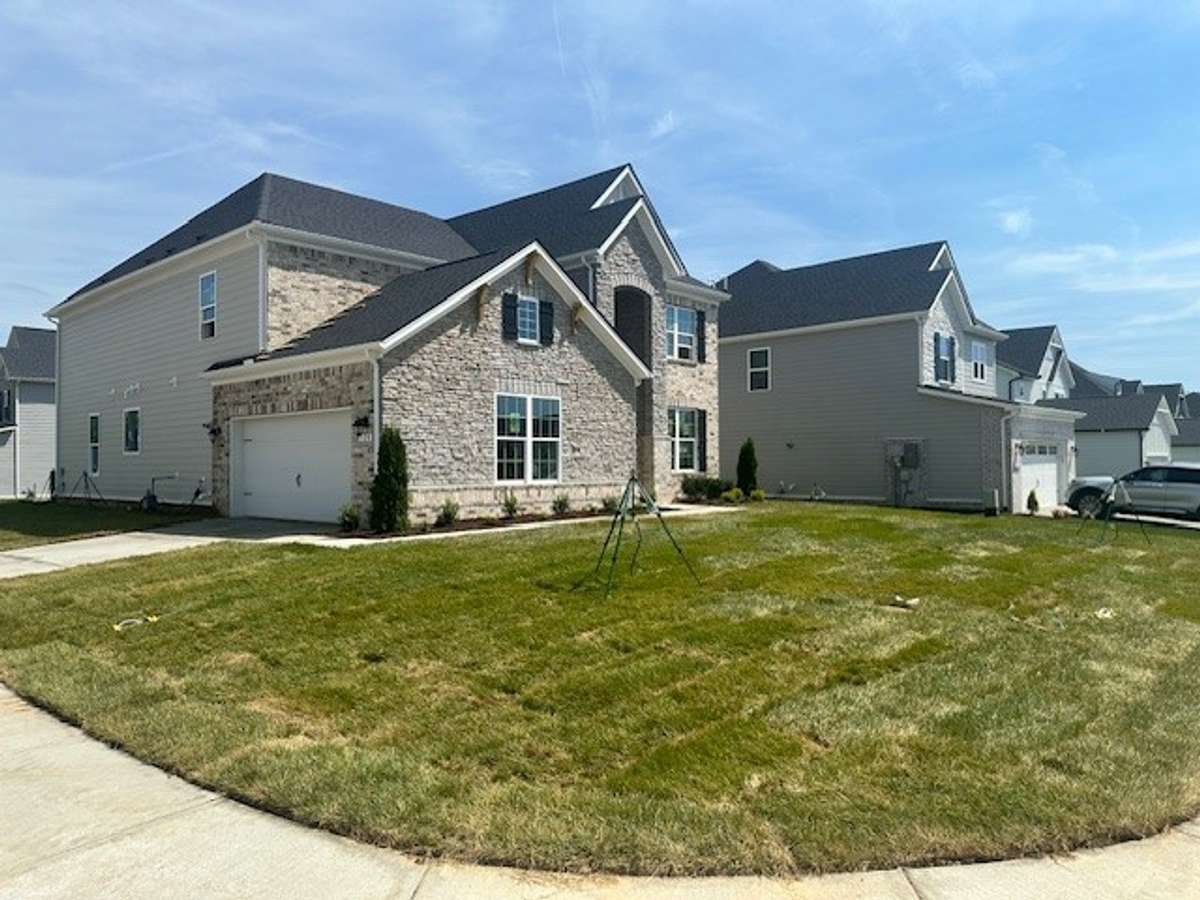 Dogwood with a huge front yard!
