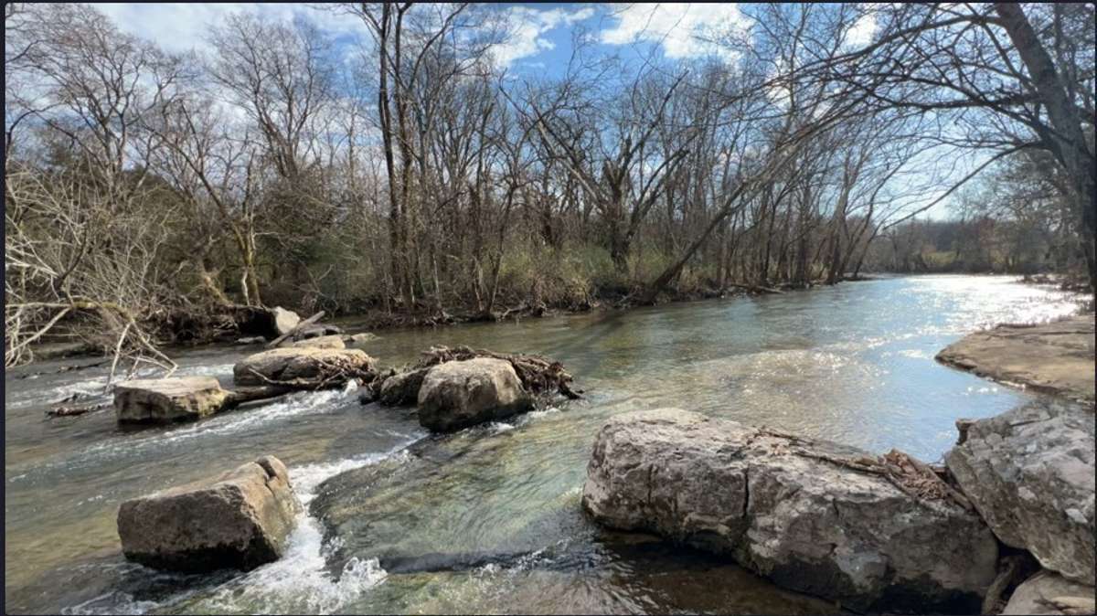 Gorgeous Nature Nearby!