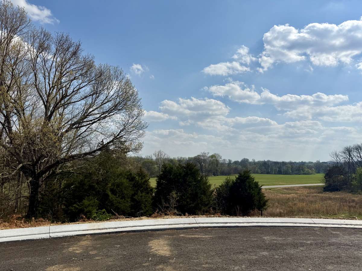 Homesite 527, .61 acre