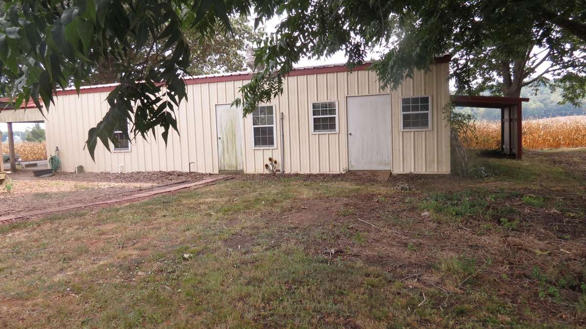 Shop outside of the backdoor