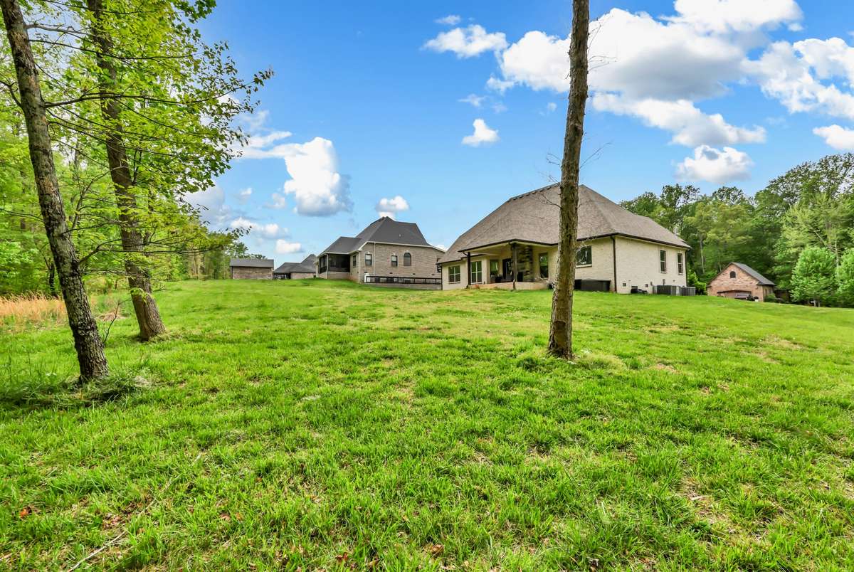 Large Backyard