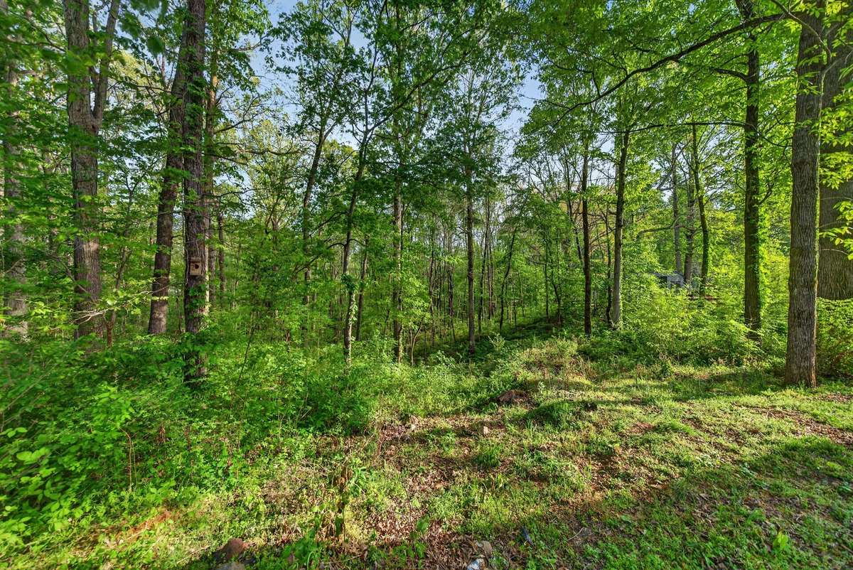 Private 0.41 acre lot with mature trees
