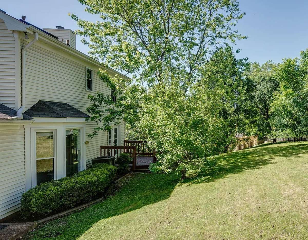 A final view of the backyard that captures its broad width.