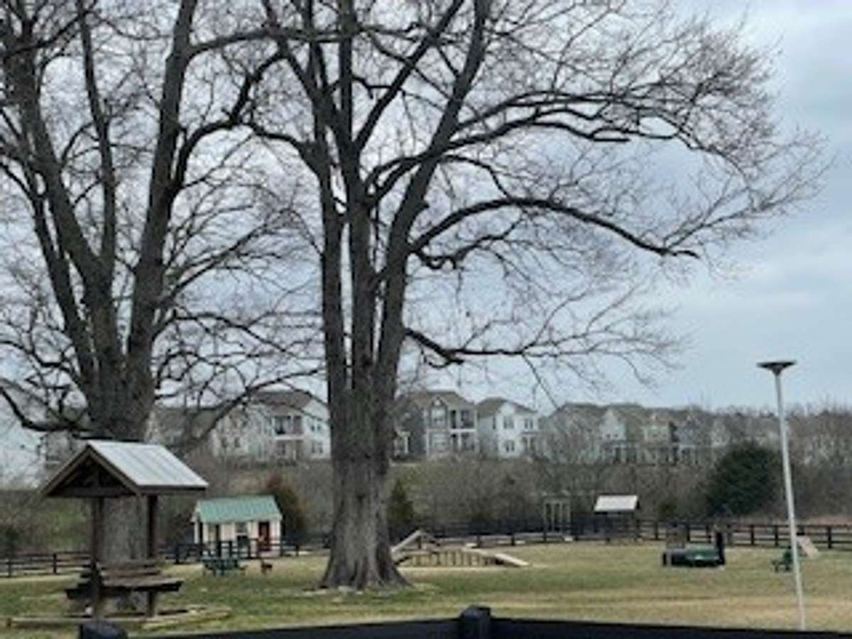 Our fur babies love playing in their very own park