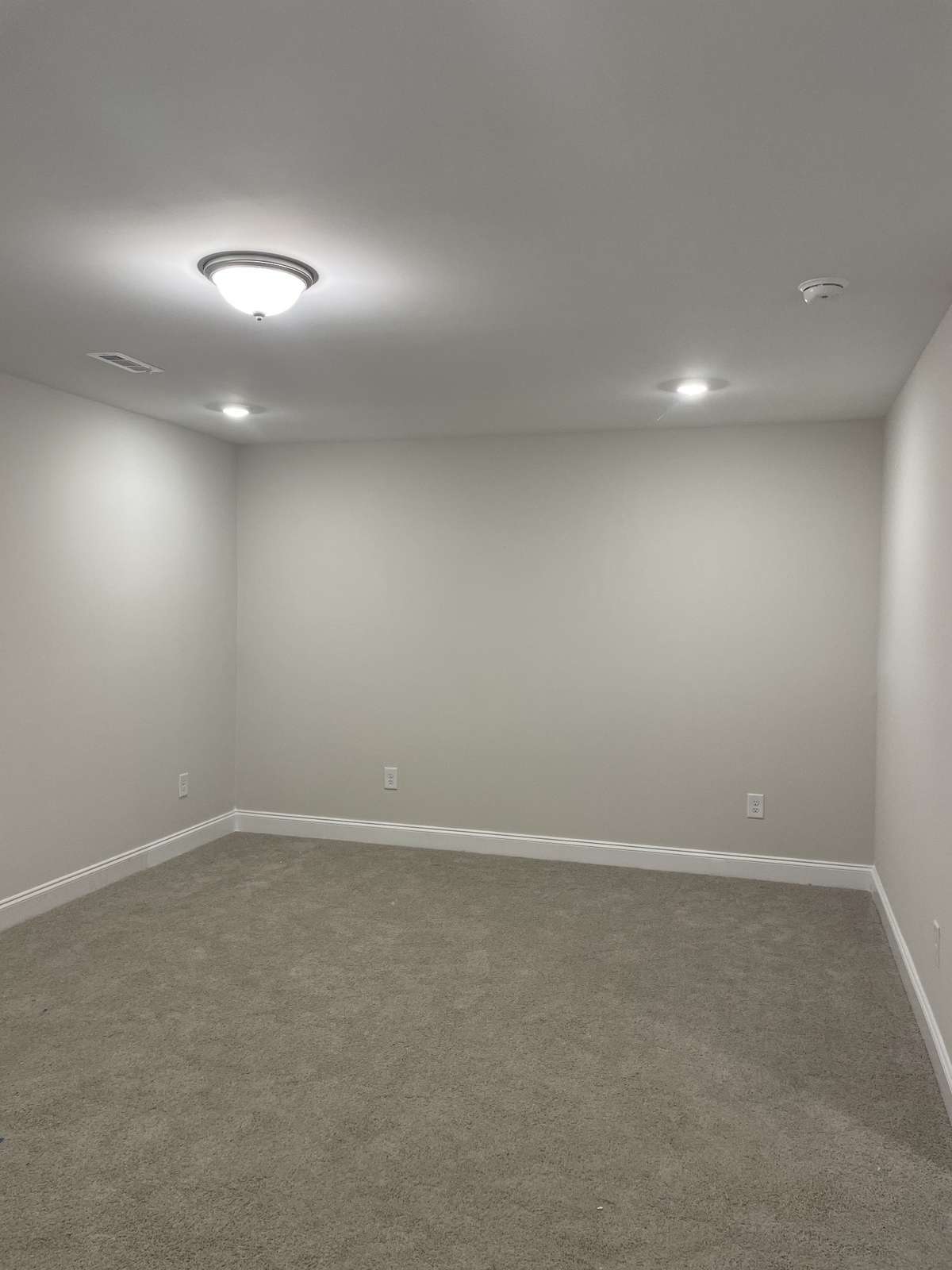 Flex space in basement level