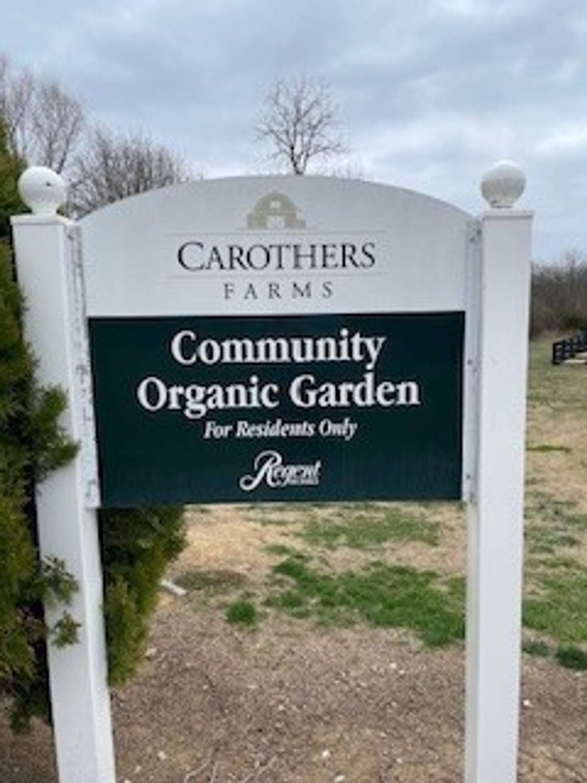Community Organic Garden