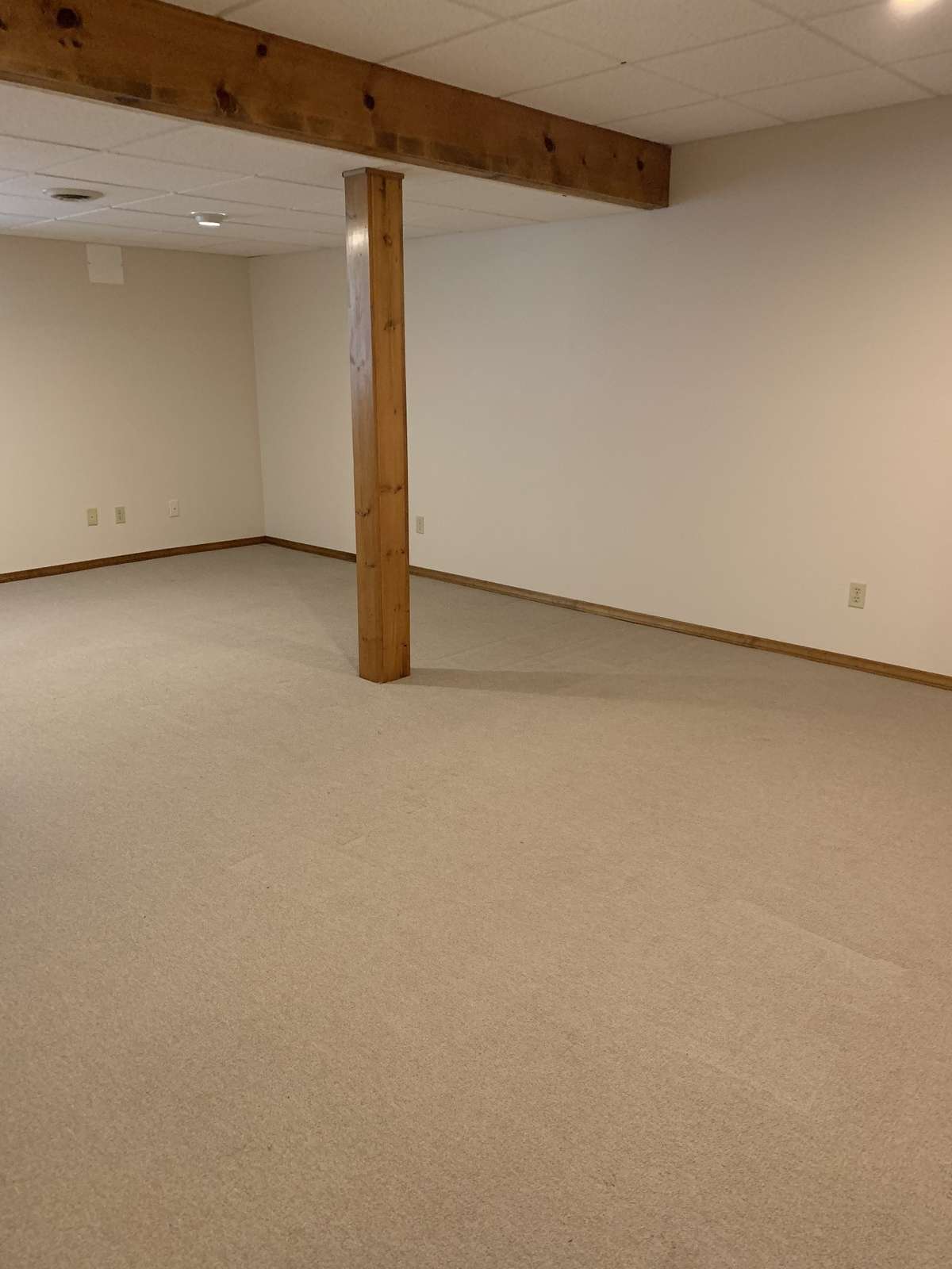 Den/Recreation room in Finished Basement