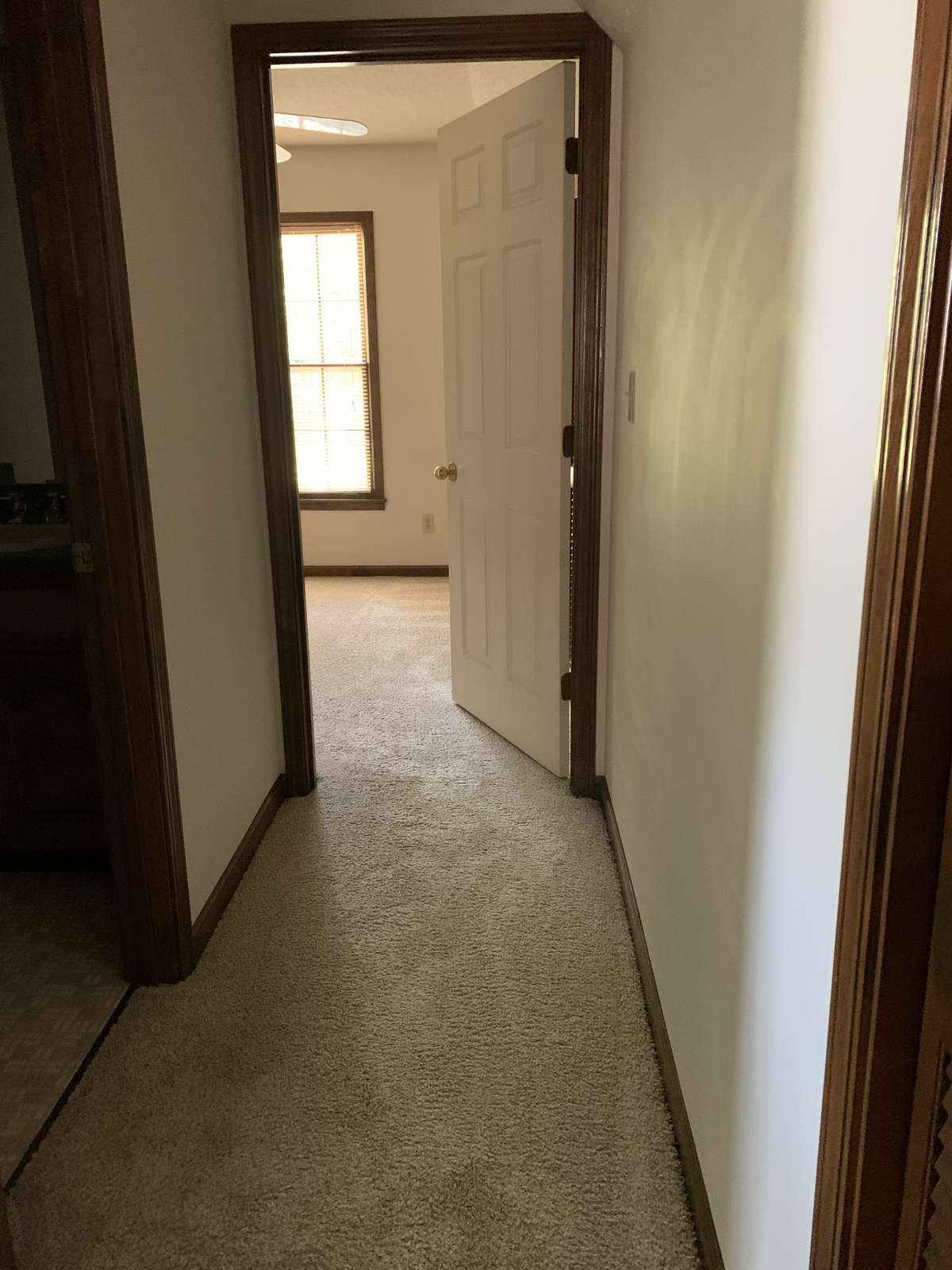 Hallway to Bedroom #3