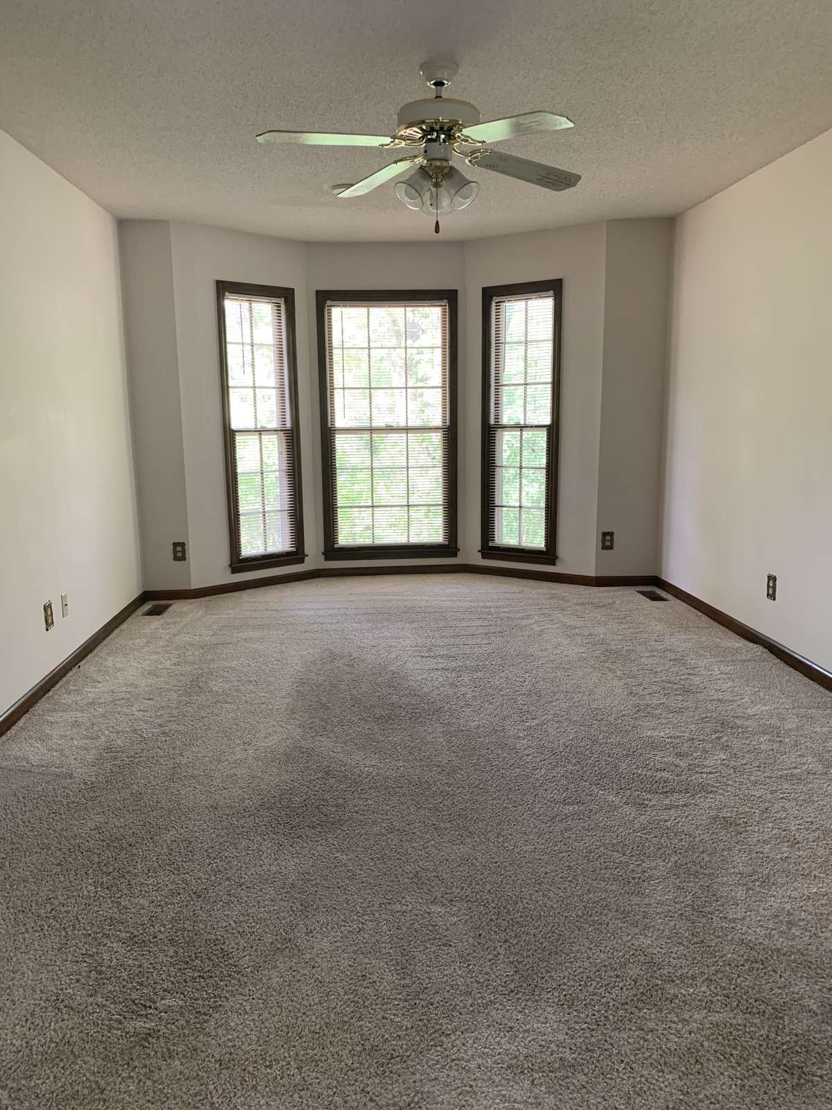 Living Room with Bay Windows