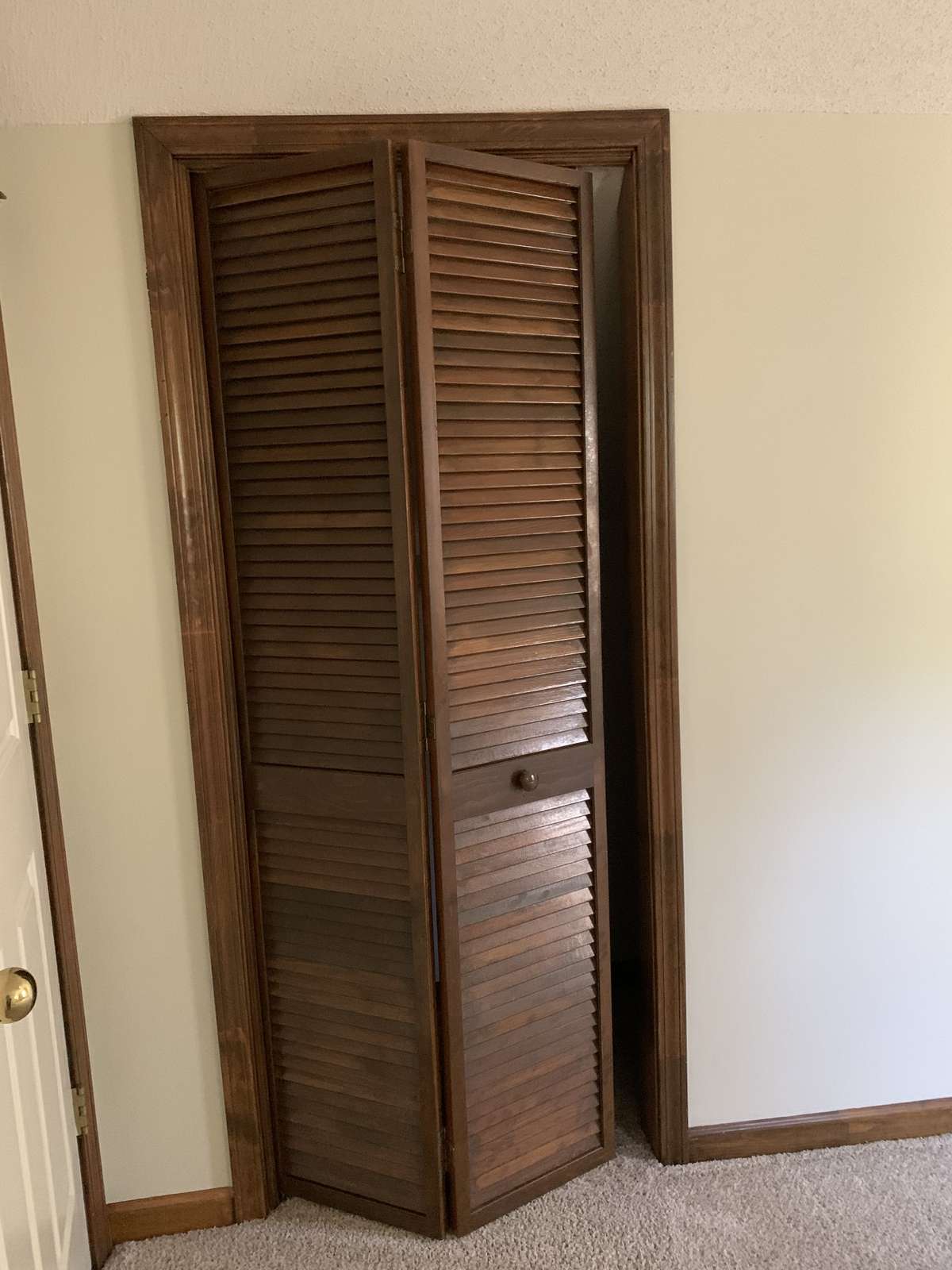 Closet in Bedroom #2