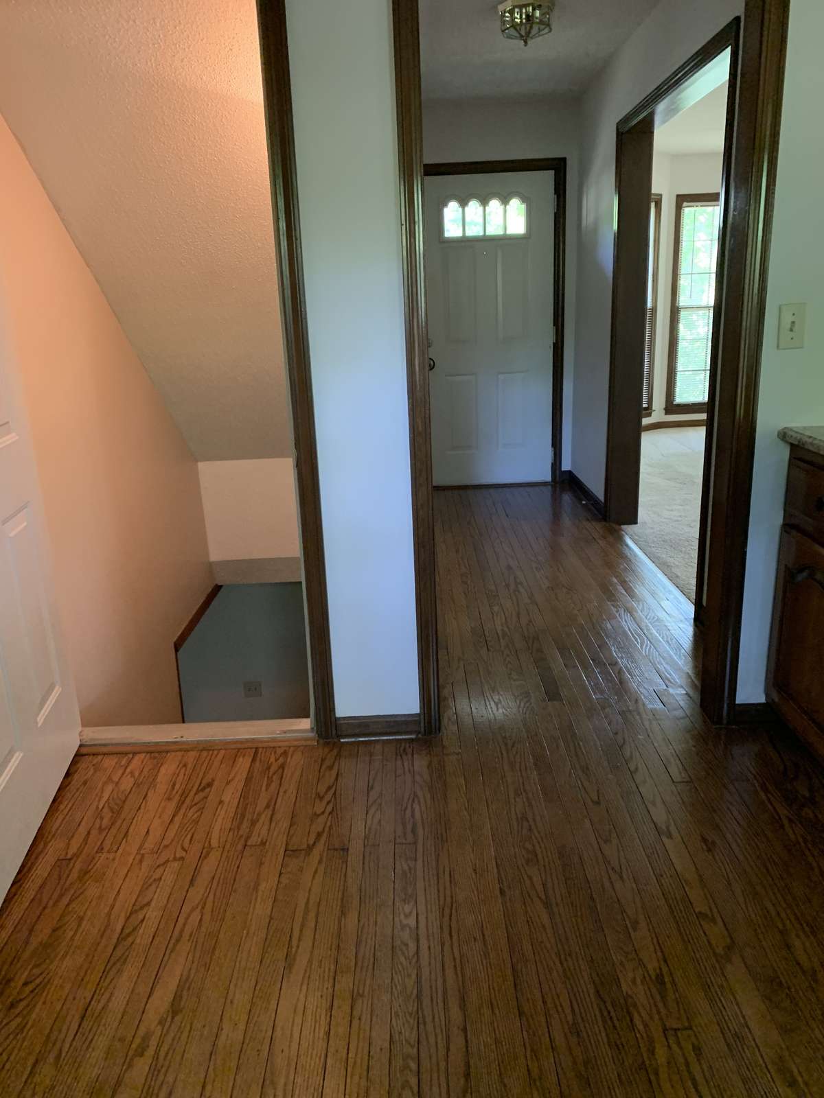 Main level, Hallway to the Front Door and stairway to the Basement on the left.