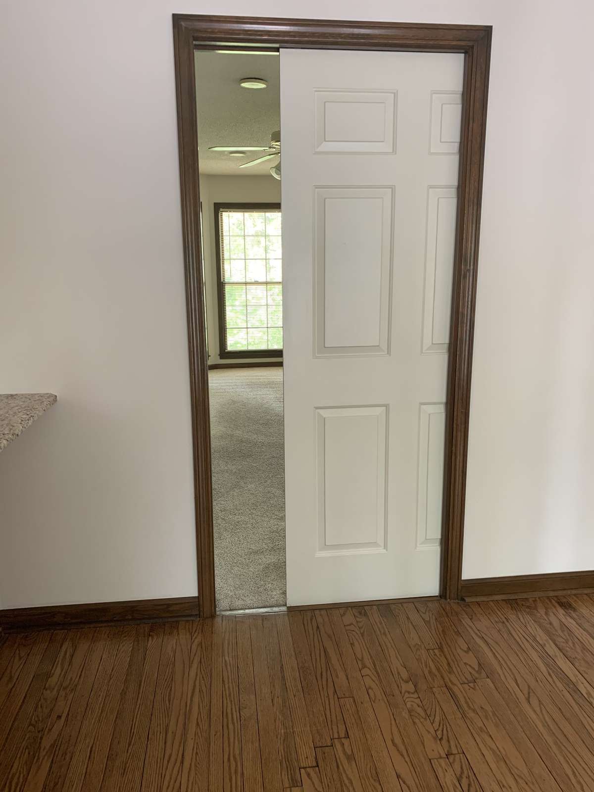 Pocket Door