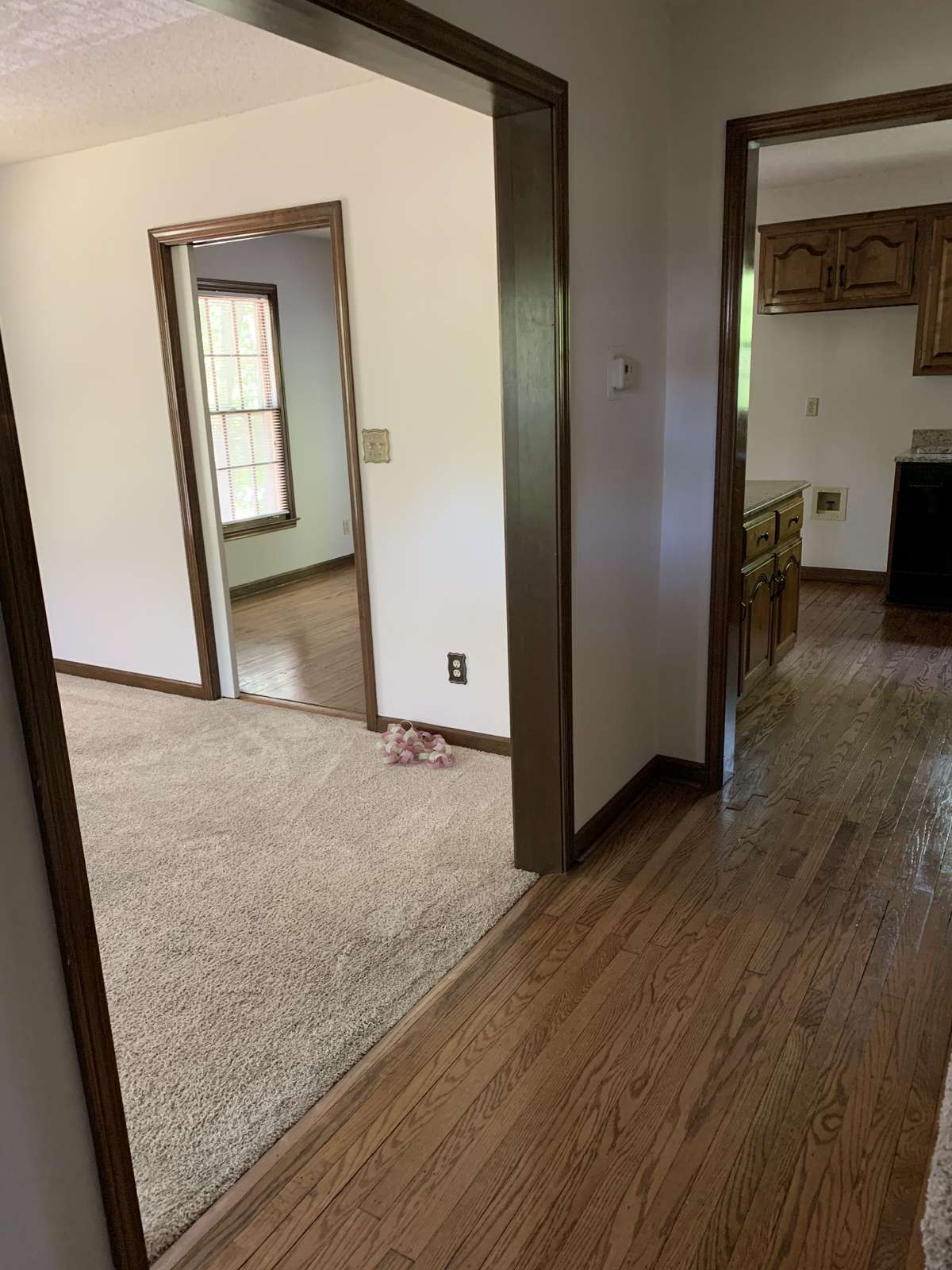 Hallway. Living room to the left, kitchen forward
