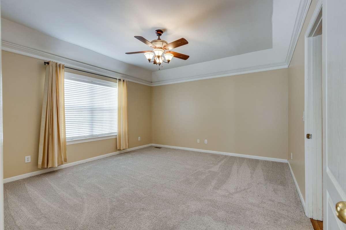 Brand New Carpet