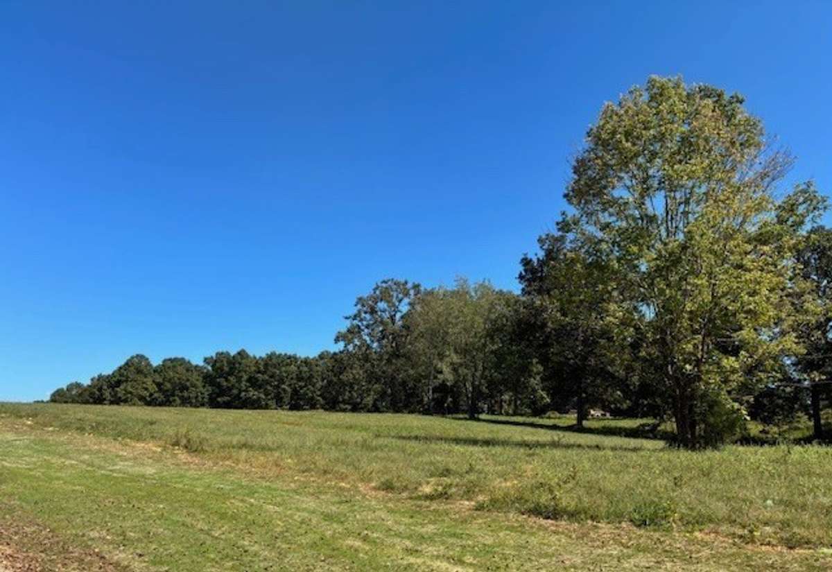 5+ Acre Homesite Perfect for Building your Dream Home!
