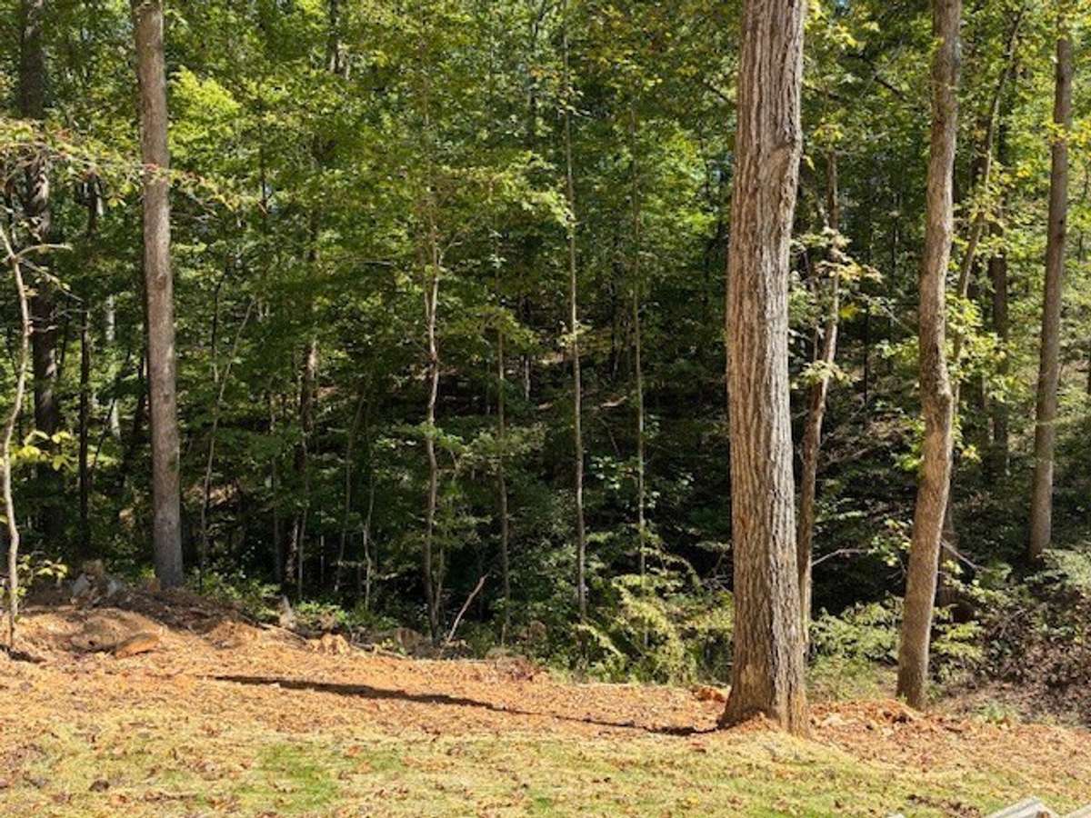 5+ Acre Homesite Perfect for Building your Dream Home!