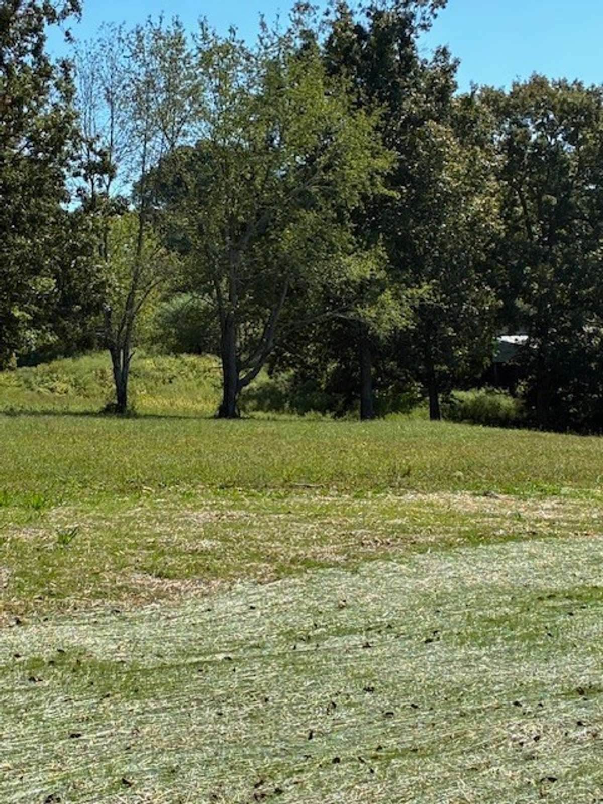 6+ Acre Homesite Perfect for Building your Dream Home!