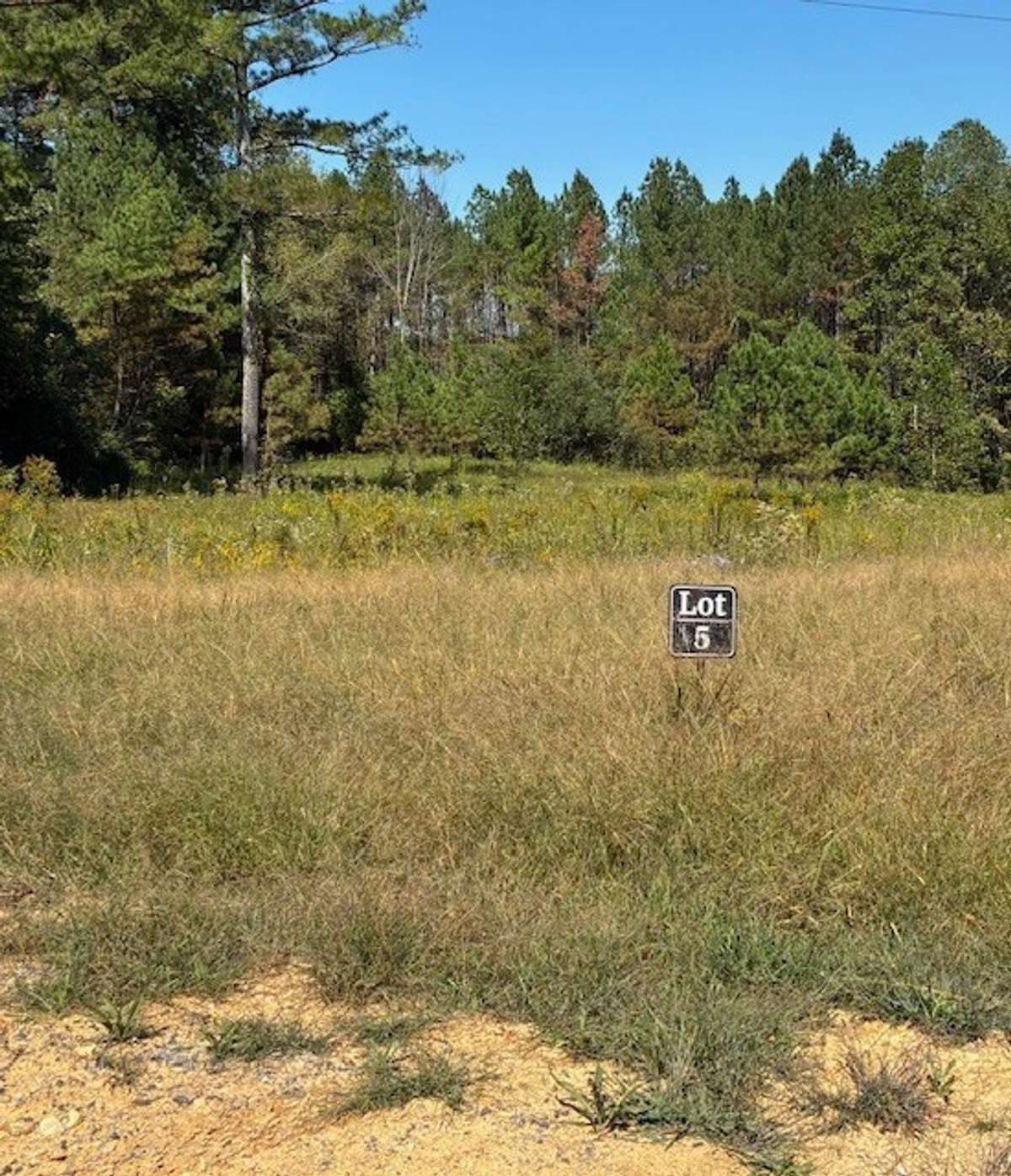 6+ Acre Homesite Perfect for Building your Dream Home!