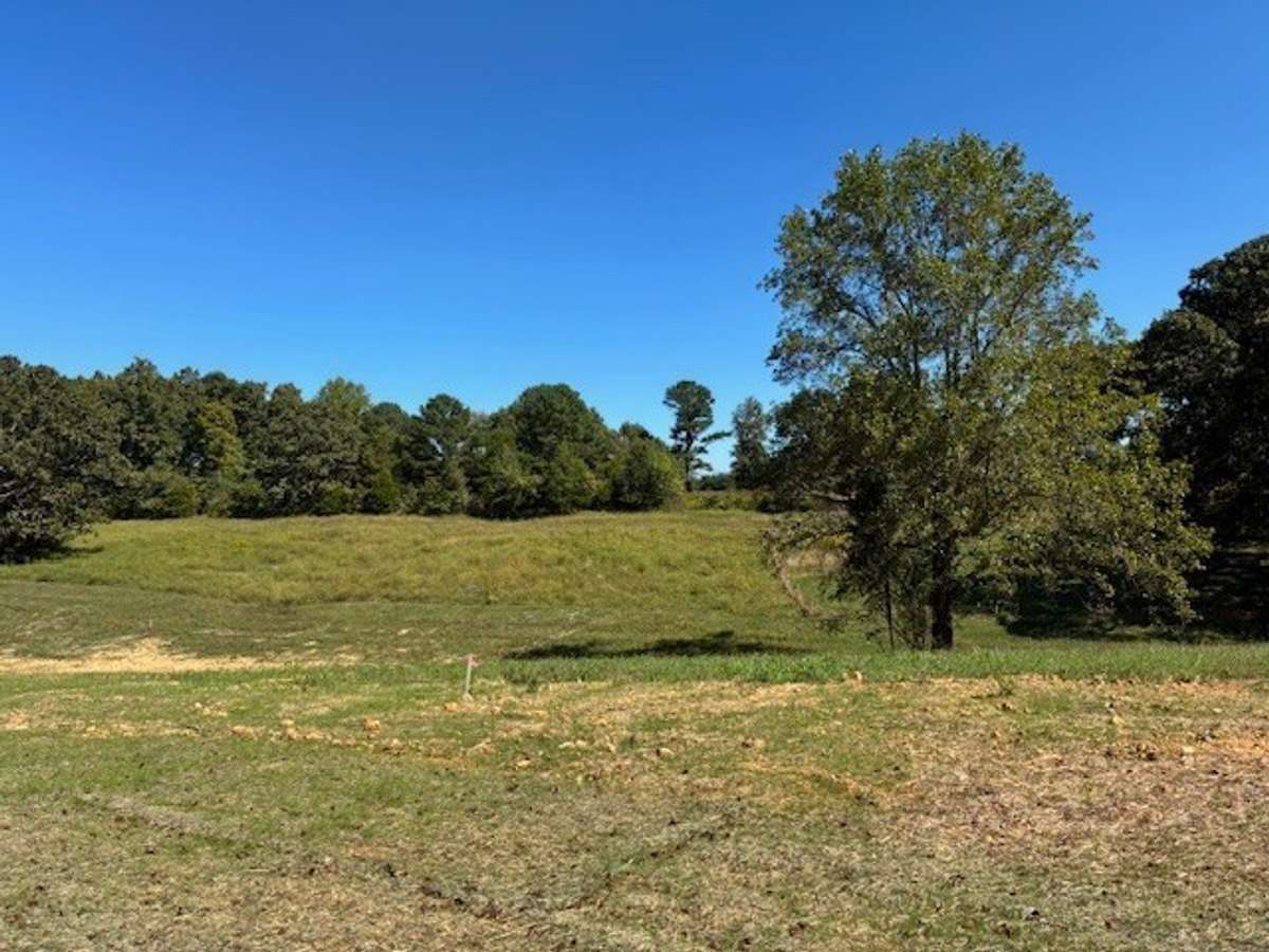 6+ Acre Homesite Perfect for Building your Dream Home!
