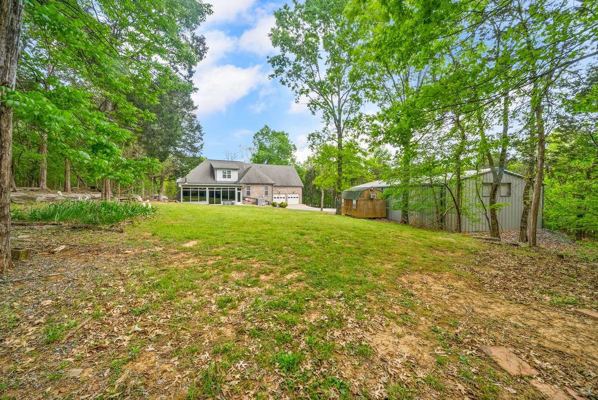 From the back edge of yard
