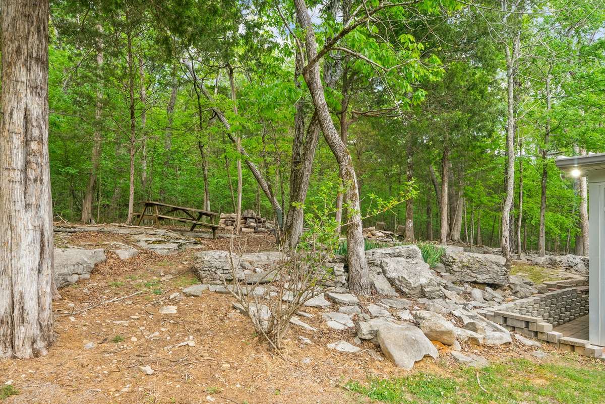 Plenty of beautiful areas to picnic or hike!