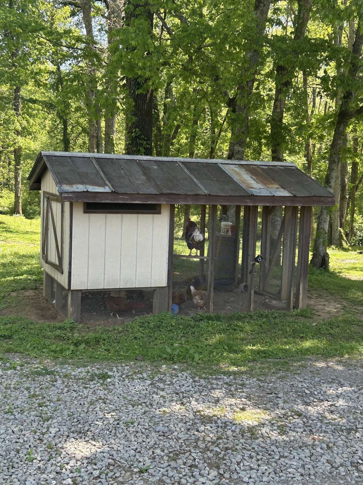Chicken coop