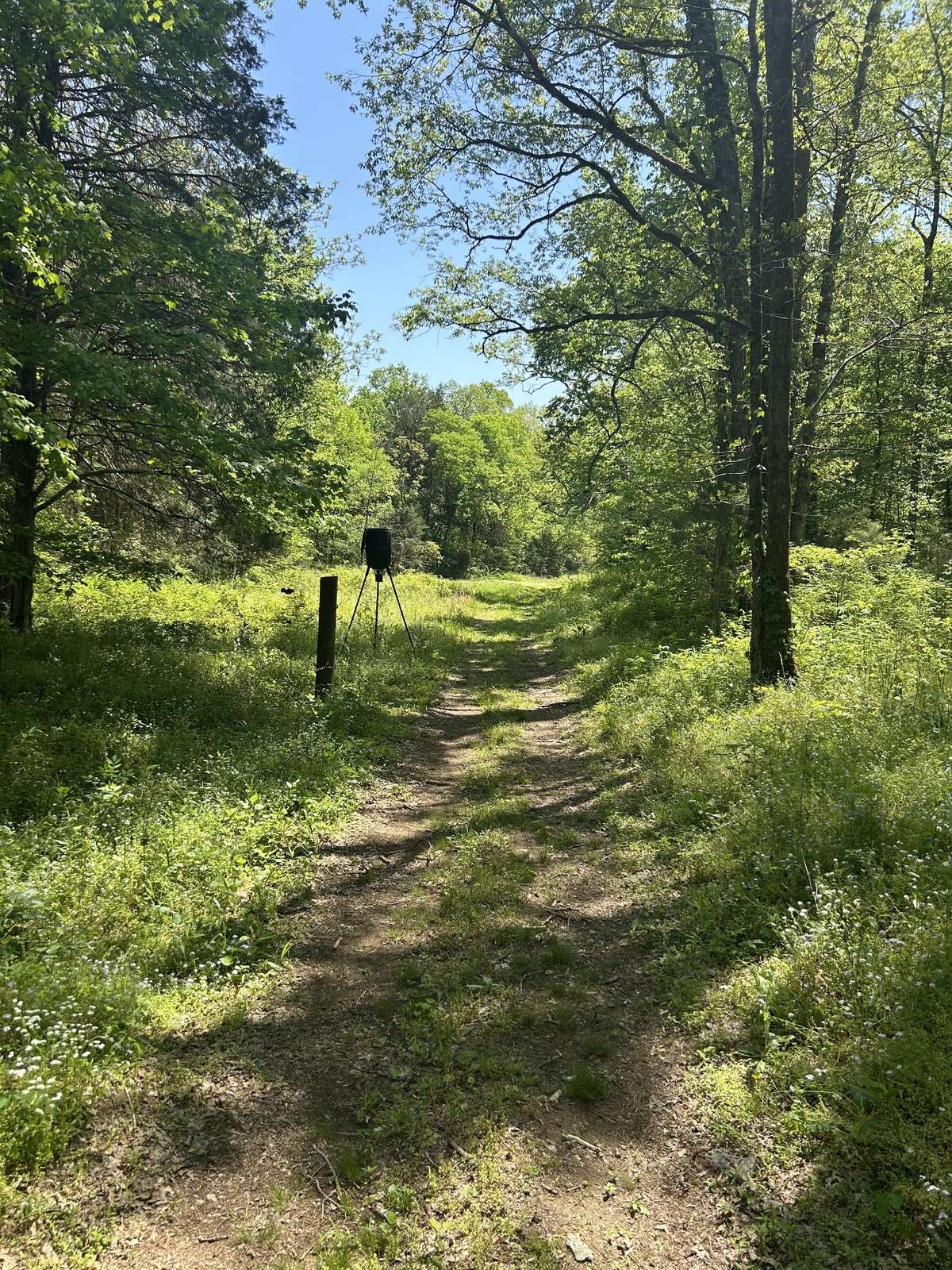 Established trails
