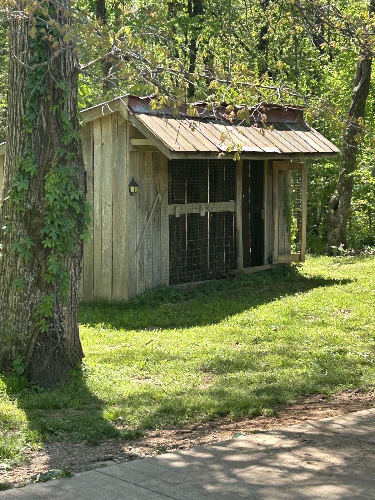 Dog Kennel