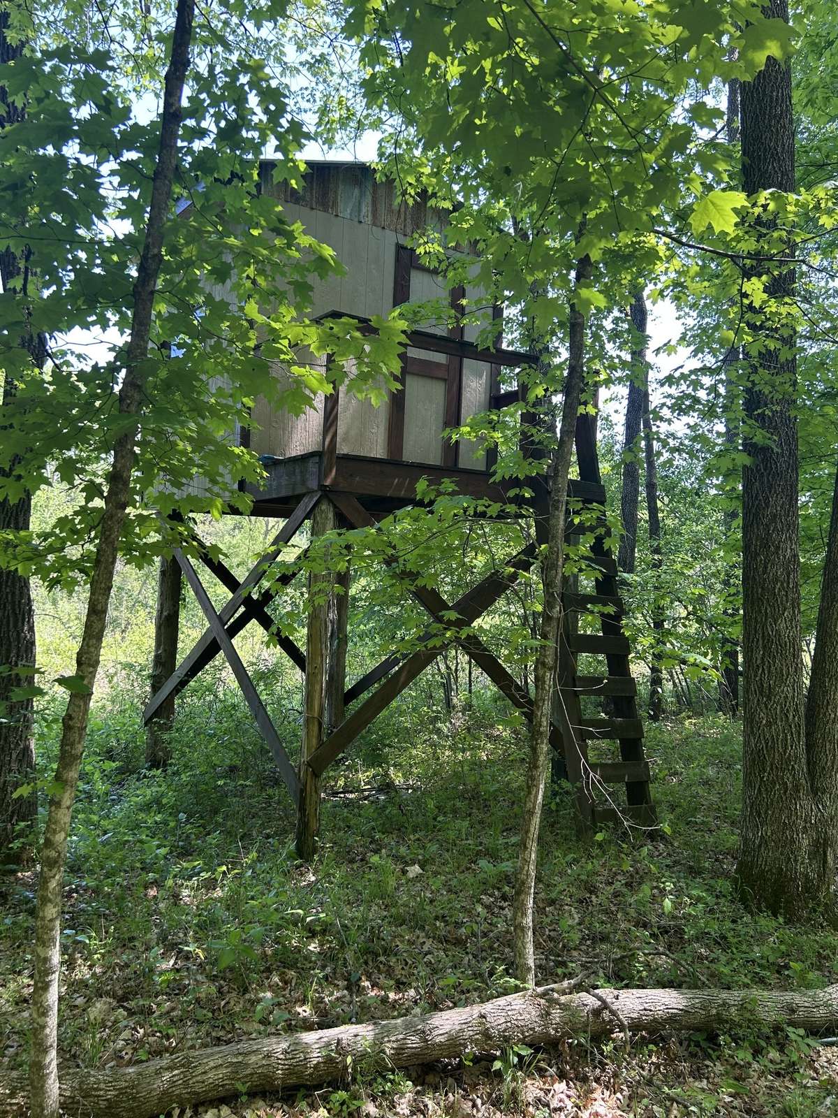 Treehouse... Deer Stand... Wildlife Observation -- Building is 7'6" x 7'6" and includes a 8 x 4 deck on the back