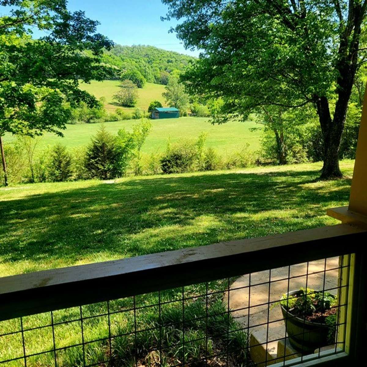 What a view
