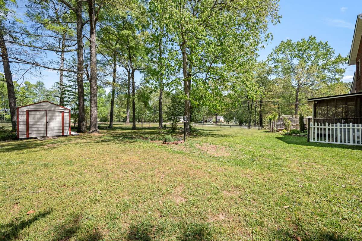 Another view of the back yard.