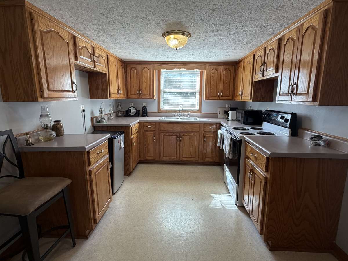 Nice oak kitchen cabinets. Dishwasher and stove/oven remains