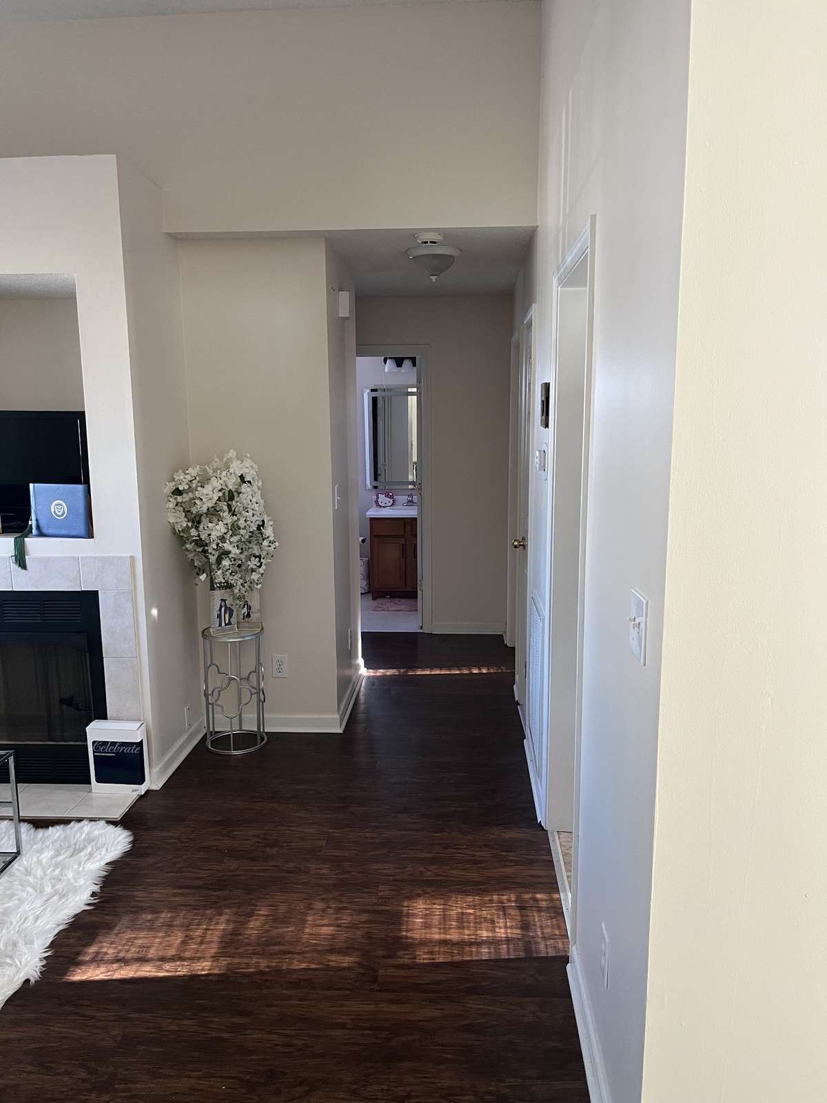 Living Room looking down hallway