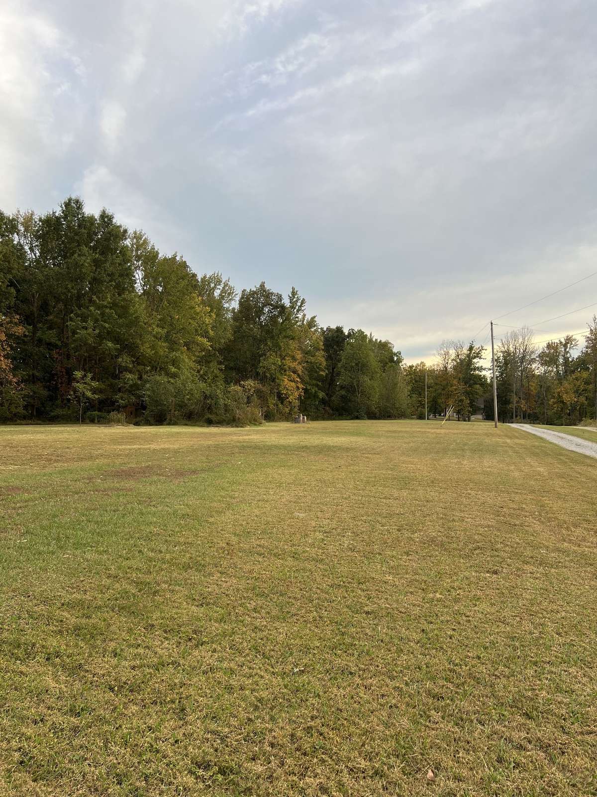 Approximately 3 acres of flat partially wooded Tennessee land.