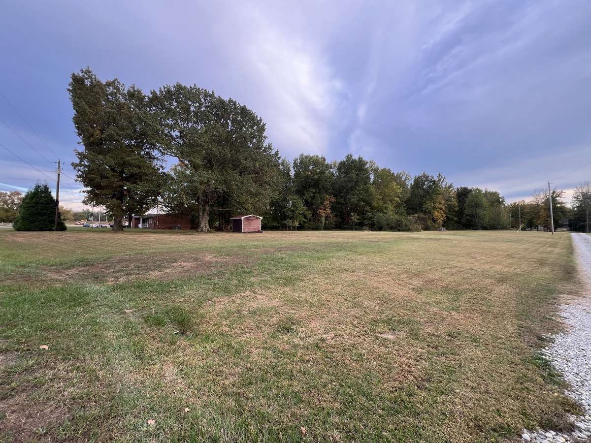 The driveway on the right is the first easement on the property. Imagine what you can do with this land: Garden, Chickens, or a Dream Home!