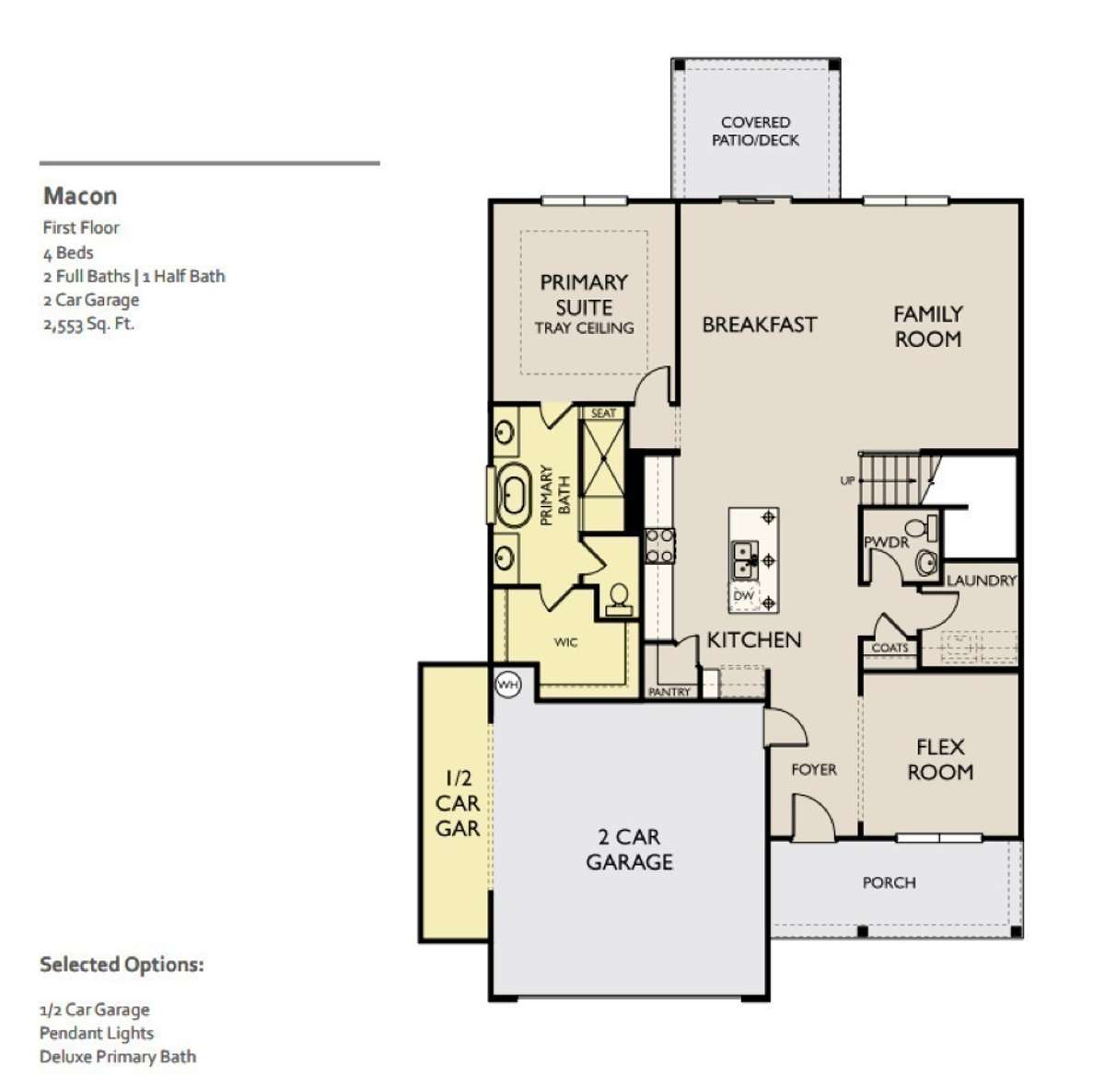 1st Floor Layout
