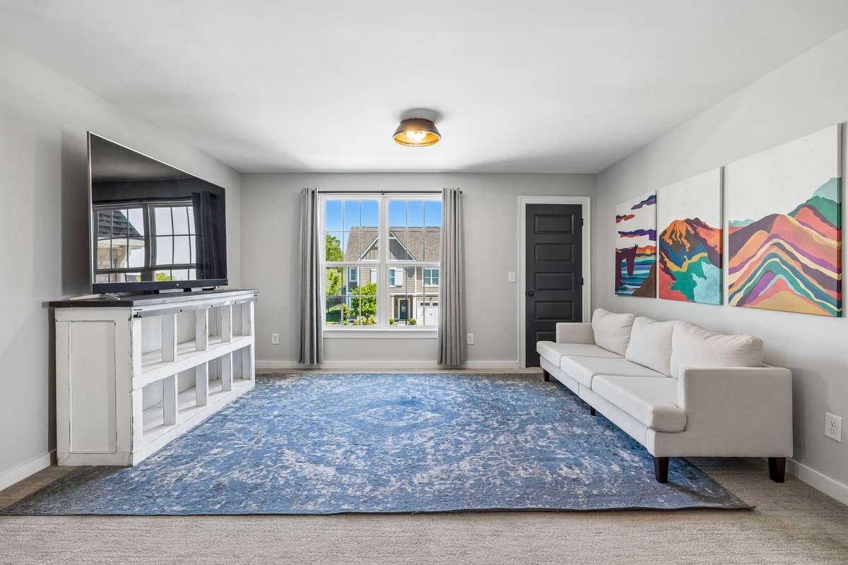 Fantastic television or play area