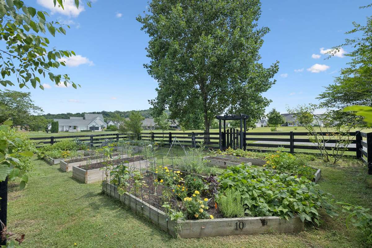 Community garden