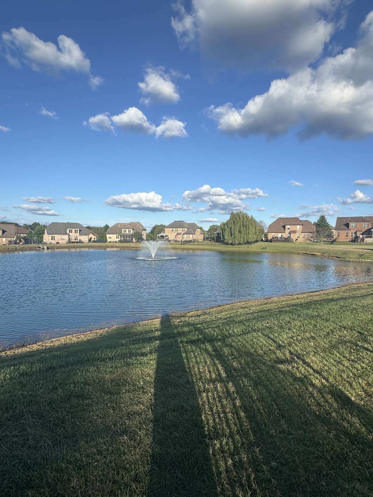 Community pond