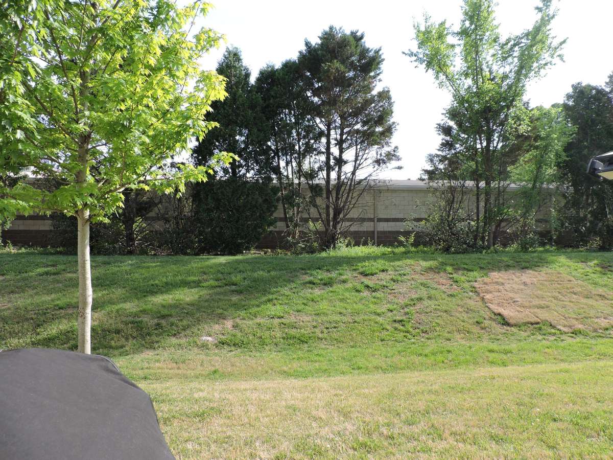 View from the back patio