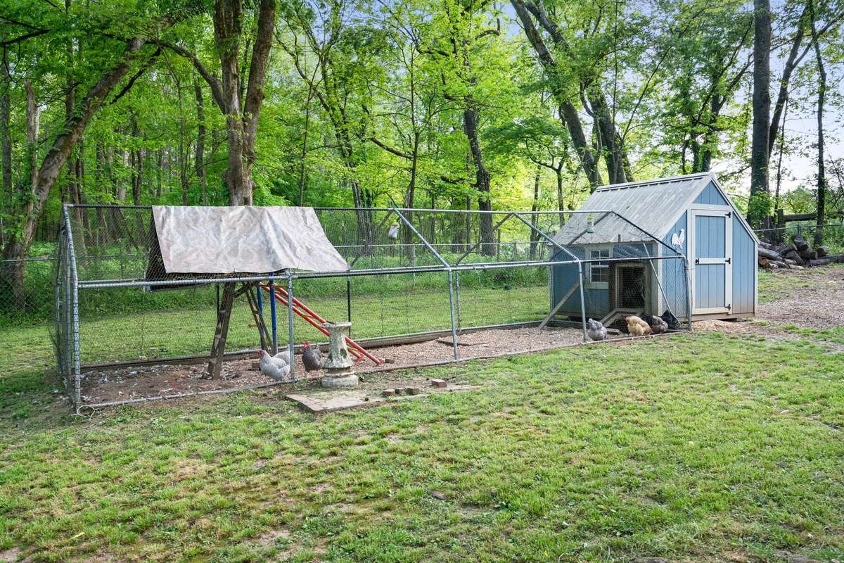 Bring your chickens!