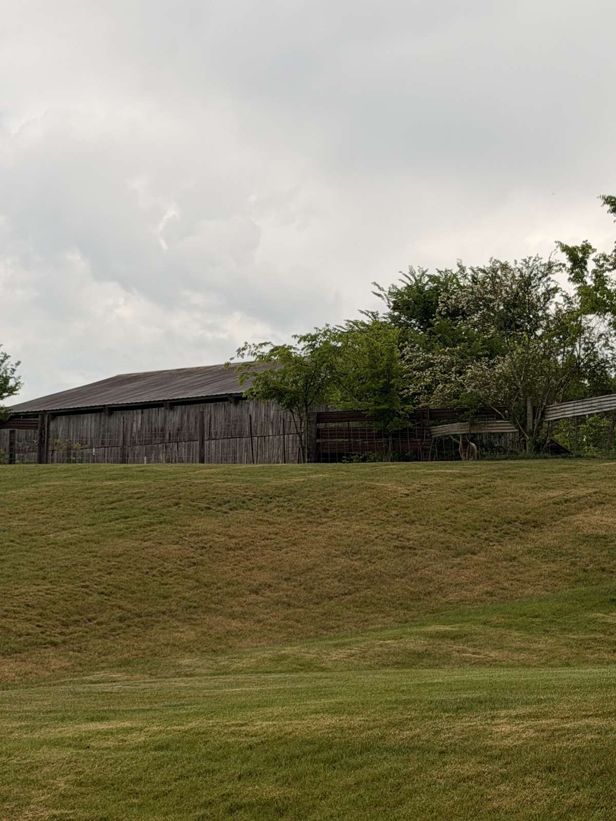 View of farm and barn from the backyard!