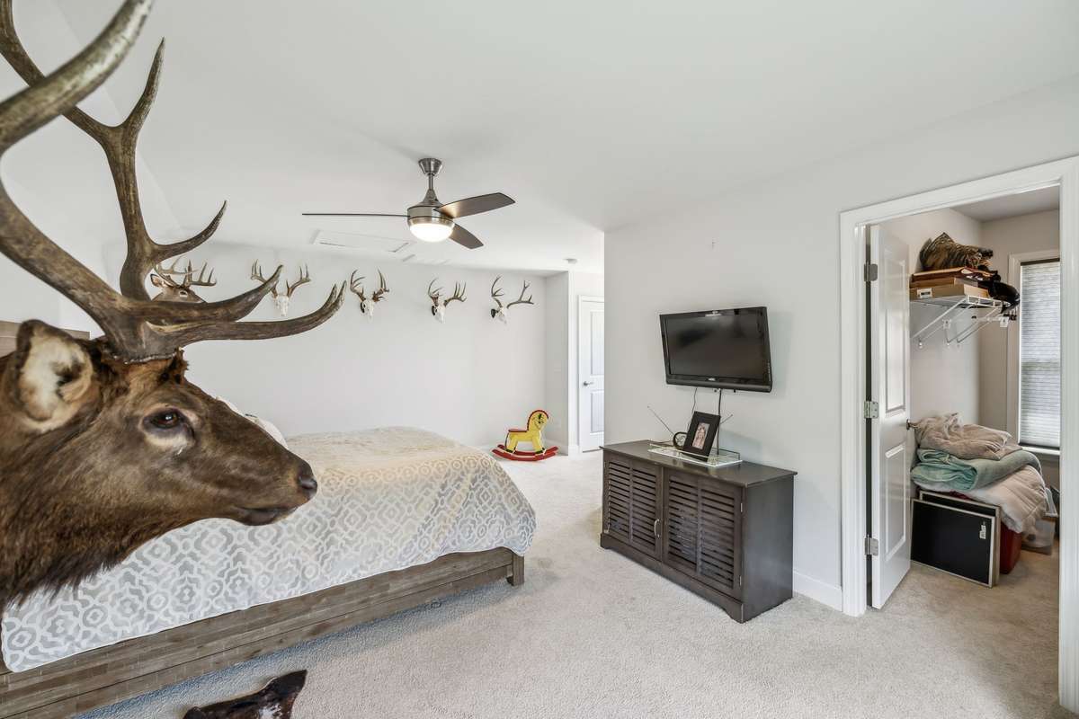 hello Mr elk!