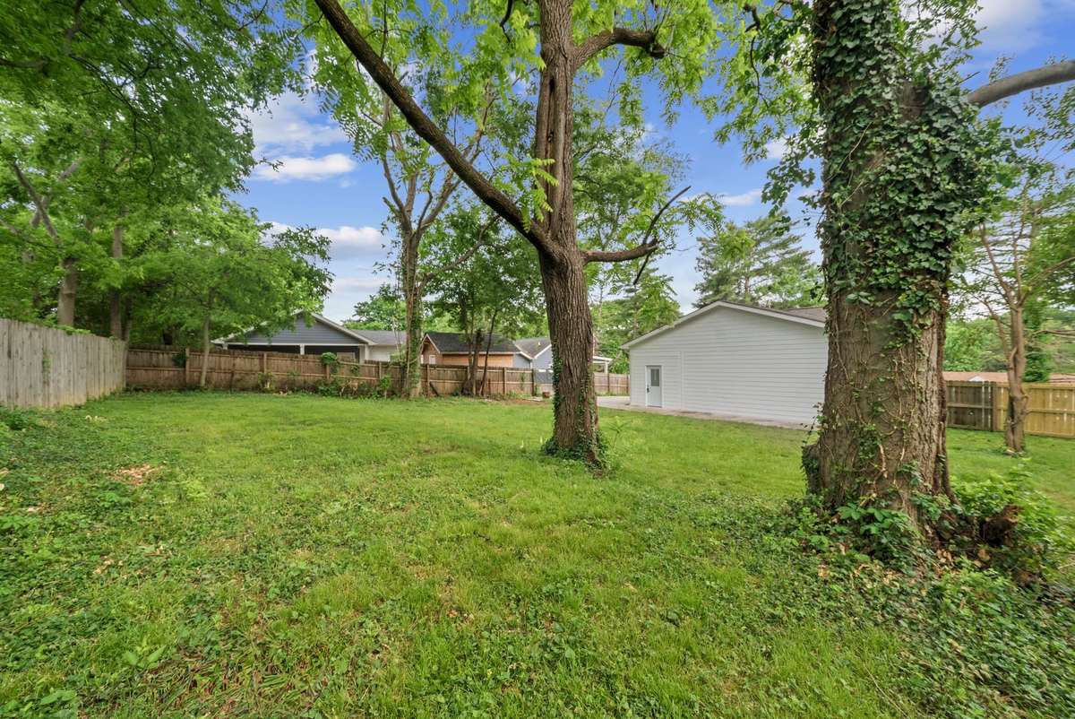 Backyard view showing tree coverage and outdoor area