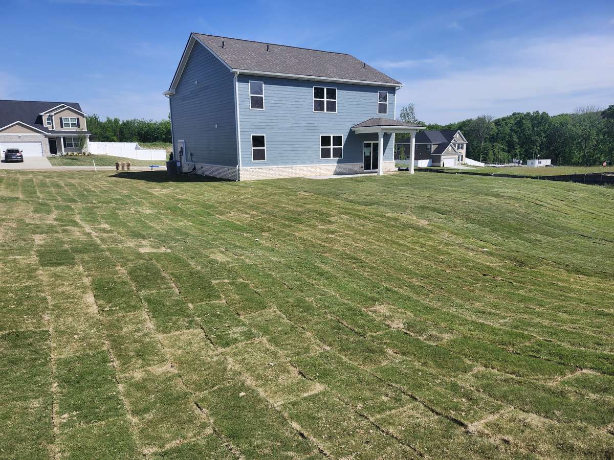 Amazing back and side yard on this huge lot!