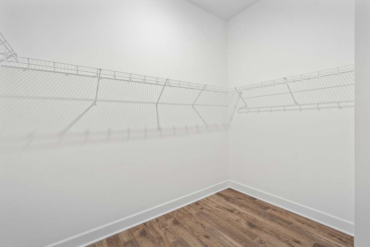 Large primary closet with wood flooring